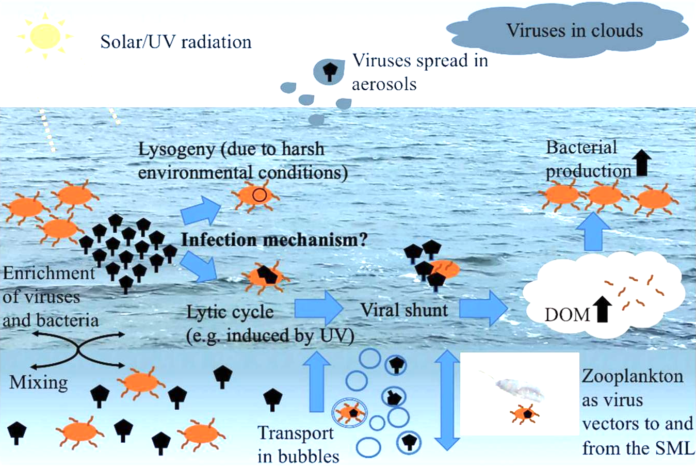 reporters newswire Bacteria in water