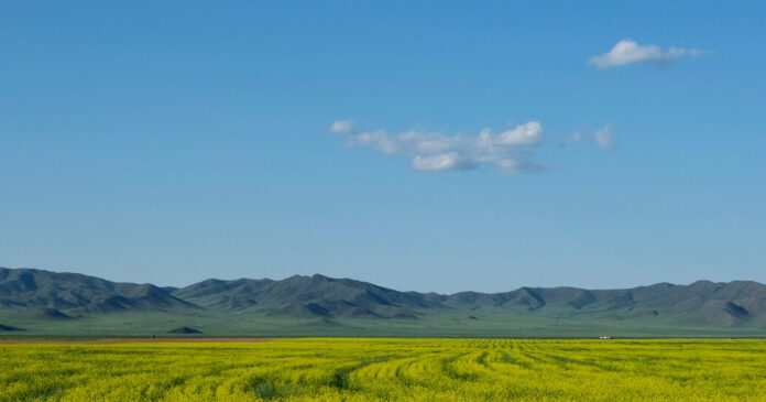 Why Are So Many Millennials Going to Mongolia?