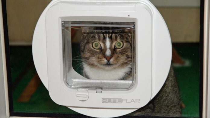 2-How-this-AI-device-can-keep-your-home-free-of-cats-carrying-critters-inside-catflap.jpeg