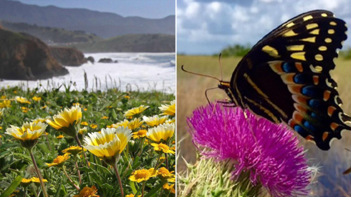 Visiting a US national park this summer? Don't do this Visiting a US national park this summer? Don't do this or you'll be fined