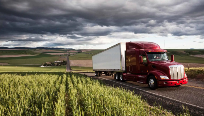 20241022_133422(887)