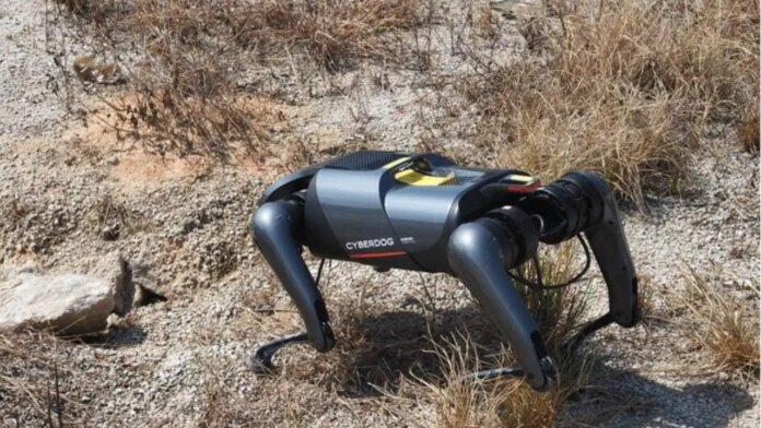 1-ai-powered-dog-robot-sniffs-out-invasive-fire-ants.jpg