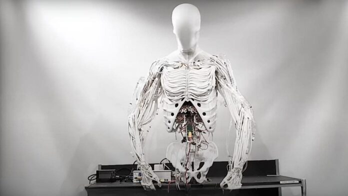 3-creepy-humanoid-robot-moves-using-1000-eerie-artificial-muscles.jpg