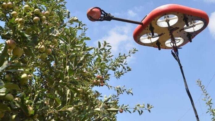 1-robotic-and-drone-tech-make-fruit-picking-and-handling-easier.jpg