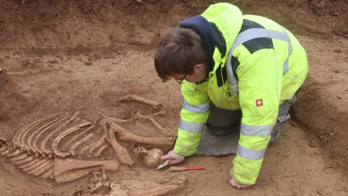 Archaeologists in Germany uncover more than 100 ancient Roman horse Archaeologists in Germany uncover more than 100 ancient Roman horse skeletons