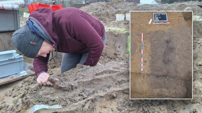 Archaeologists uncovered the remains of a well-preserved dog dating back Archaeologists uncovered the remains of a well-preserved dog dating back to Roman times