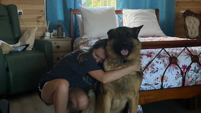 Backpacker saves $15K traveling Australia for free by pet-sitting