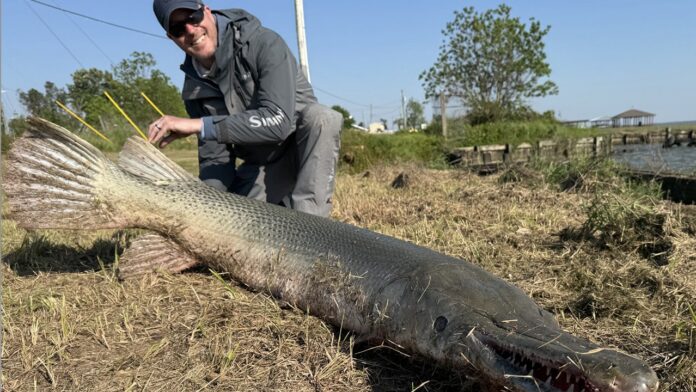 Kentucky, Texas anglers catch 7-foot alligator gar, may have set new world record