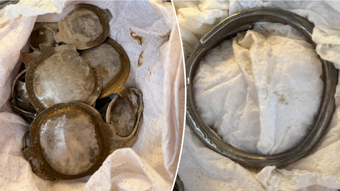Metal detectorists find silver Dacian treasure dating back thousands of years in Romania