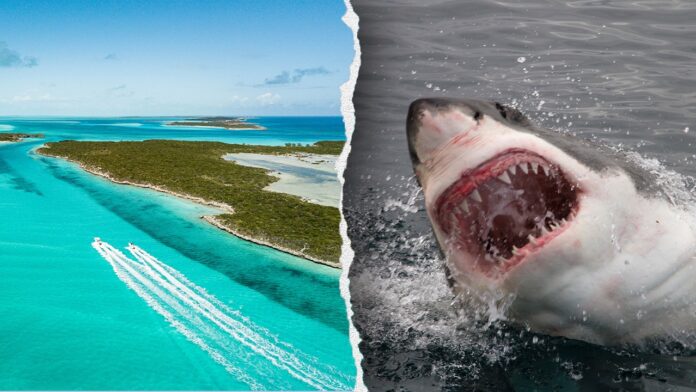 Travel warning issued for popular tropical destination over crime concerns, shark attacks