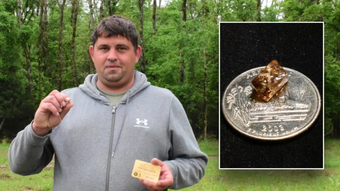 Minnesota farmer unearths 3.81-carat brown diamond at Crater of Diamonds State Park