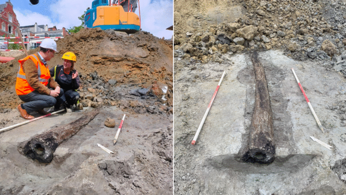 Well-preserved 2000-year-old Roman water pipe unearthed in Leuven, Belgium