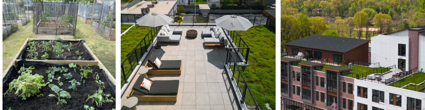 Capodagli Property Company is Proud to Reaffirm its Long-Standing Commitment to Environmental Sustainability 1 20250614 195437273