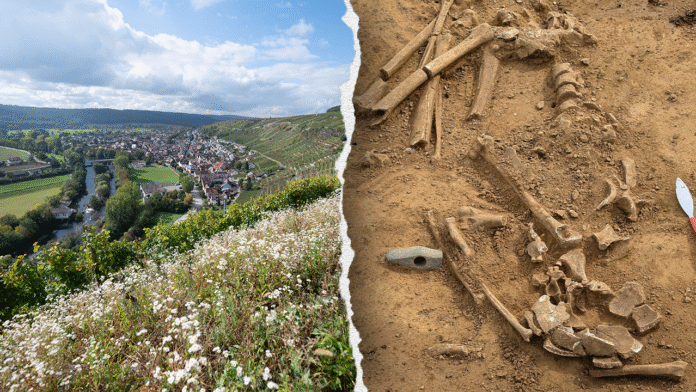 Mysterious grave of woman and girl from 400 B.C. discovered in idyllic German town