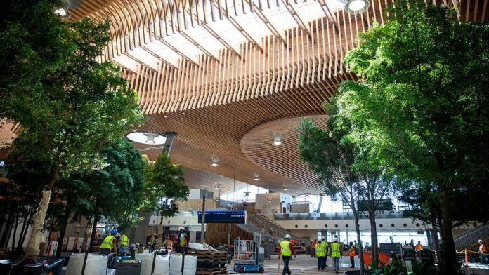 America's 'best airport' features therapy llamas and 1980s-inspired decor