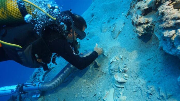 Ancient Turkish shipwreck yields remarkably preserved and 'valuable' plates and bowls