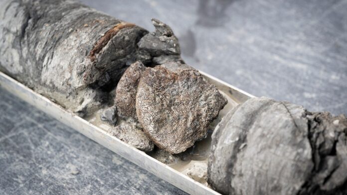 Denver scientists discover rare 67.5-million-year-old fossil bone while drilling beneath their own parking lot