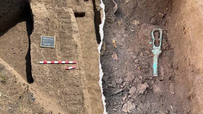 Newly discovered ancient tower houses in Nile Delta reveal thriving Ptolemaic city