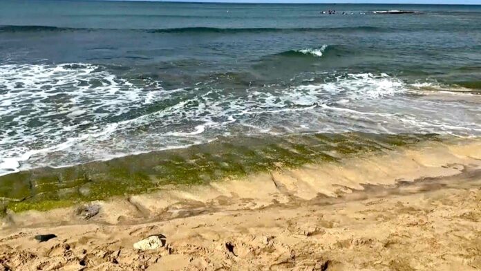 Ocean swells uncover 500-year-old petroglyphs on Oahu's shoreline Ocean swells uncover 500-year-old petroglyphs on Oahu's shoreline
