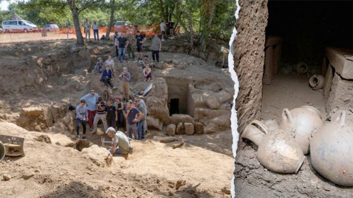 Rare untouched tomb discovered in Italy contains ancient treasures: historians