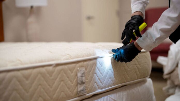 Chicago tops Orkin's list of most bedbug-infested cities for fifth straight year