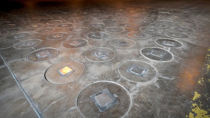 Radioactive wasp nest found at South Carolina nuclear bomb site Radioactive wasp nest found at South Carolina nuclear bomb site facility