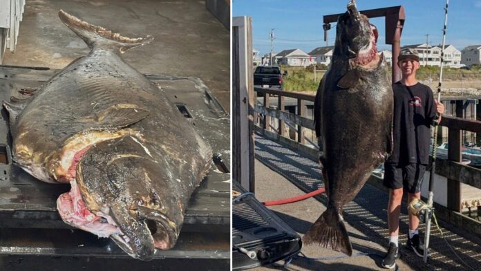 Rare 177-pound halibut caught by teen off New England coast could break record