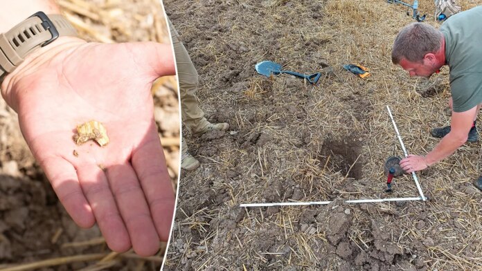 Hundreds of Celtic gold coins discovered in Czech Republic archaeological dig