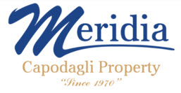 Capodagli Property Company Names Brian J. Pfistner, CCIM, as Chief Executive Officer 2 meridia1
