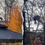 Female chimpanzee escapes from her Indianapolis Zoo enclosure, safely returned Female chimpanzee escapes from her Indianapolis Zoo enclosure, safely returned