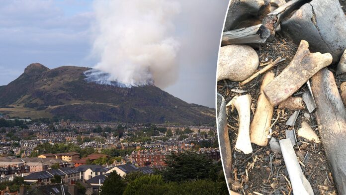 Mysterious bones found near landmark location in Edinburgh, Scotland, spark investigation