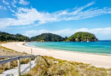 New Zealand relaxes its ‘golden’ visa rules, sees 72% surge in US applications New Zealand relaxes its 'golden' visa rules, sees 72% surge in US applications