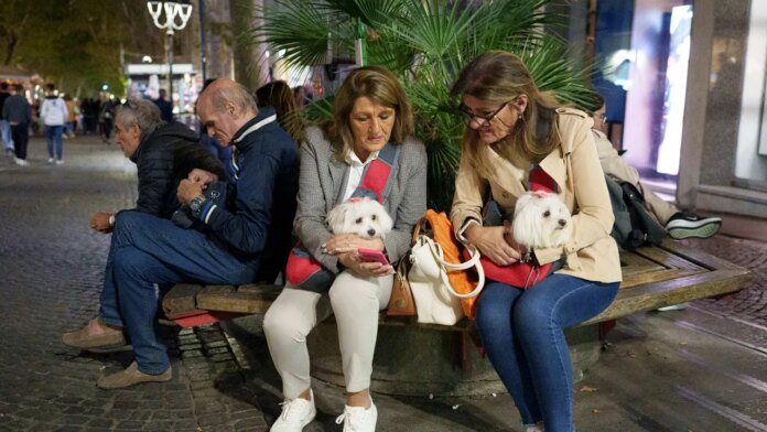 Town in Italy considers hitting tourists with $2 daily dog tax as critics push back