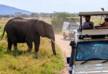 US State Department raises Tanzania travel advisory to Level 3 amid unrest US State Department raises Tanzania travel advisory to Level 3 amid unrest