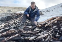 Ancient 1,500-year-old reindeer trap discovered by archaeologists in Norway mountains Ancient 1,500-year-old reindeer trap discovered by archaeologists in Norway mountains
