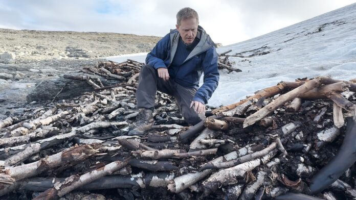 Ancient 1,500-year-old reindeer trap discovered by archaeologists in Norway mountains