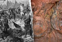 Archaeologists uncover extraordinary military graves with treasures in Czech Republic Archaeologists uncover extraordinary military graves with treasures in Czech Republic