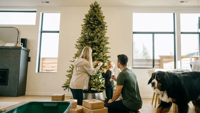 Minimalist Christmas tree trend sparks debate and outrage over holiday decorating style