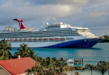 Mother jumps in water after 4-year-old falls at Carnival cruise dock Mother jumps in water after 4-year-old falls at Carnival cruise dock