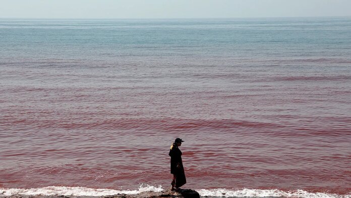 Viral video reveals how rain turns Hormuz Island landscape and ocean blood-red