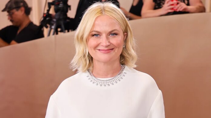Comedian and Golden Globe winner Amy Poehler shared a tense passenger exchange on a flight