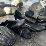 Mysterious batch of old shoes wash up on Wales beach, puzzling local officials Mysterious batch of old shoes wash up on Wales beach, puzzling local officials