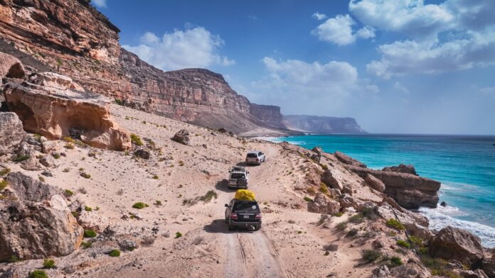 UAE troop withdrawal leaves 600 tourists stuck on Yemen's Socotra UAE troop withdrawal leaves 600 tourists stuck on Yemen's Socotra island