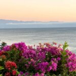 American tourists remain stranded in Punta Mita region of Mexico amid cartel violence American tourists remain stranded in Punta Mita region of Mexico amid cartel violence