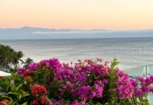 American tourists remain stranded in Punta Mita region of Mexico amid cartel violence American tourists remain stranded in Punta Mita region of Mexico amid cartel violence