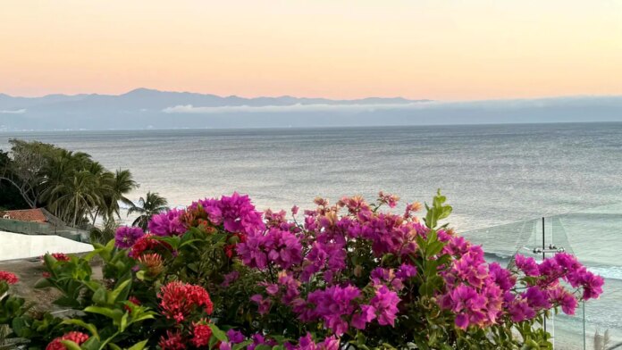 American tourists remain stranded in Punta Mita region of Mexico amid cartel violence