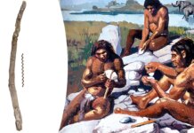 Archaeologists find oldest wooden tools in Greece believed to be 430,000 years old Archaeologists find oldest wooden tools in Greece believed to be 430,000 years old