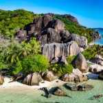 CDC warns of Chikungunya virus outbreak in Seychelles islands for travelers CDC warns of Chikungunya virus outbreak in Seychelles islands for travelers
