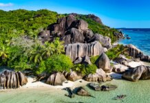 CDC warns of Chikungunya virus outbreak in Seychelles islands for travelers CDC warns of Chikungunya virus outbreak in Seychelles islands for travelers