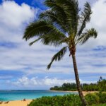 Harbor pilot falls from boat near Emerald Princess cruise in Kauai in ‘man overboard’ alert Harbor pilot falls from boat near Emerald Princess cruise in Kauai in 'man overboard' alert